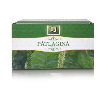 Ceai de Patlagina, 20 plicuri – StefMar