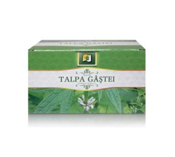 Ceai de Talpa Gastei, 20 plicuri – StefMar
