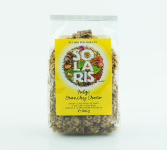FULGI CRUNCHY CHOCO 300g SOLARIS
