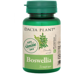 Boswellia 60 comprimate – Dacia Plant