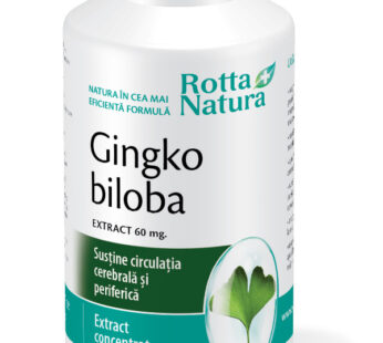 Ginkgo Biloba extract 60 mg, 90cps – Rotta Natura