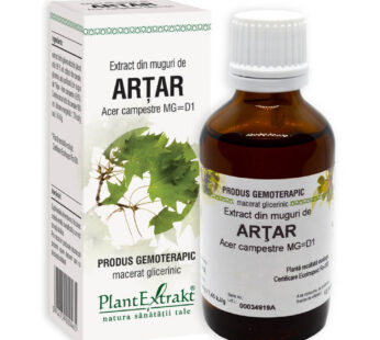 Extract din muguri de ARŢAR, Plant Extract