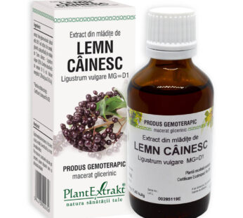 Extract din mlădiţe de LEMN CÂINESC, PlantExtract
