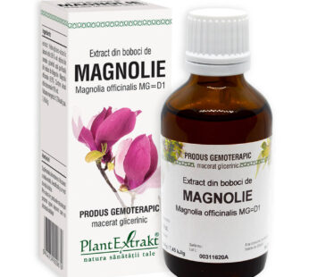 Extract din boboci de MAGNOLIE, PlantExtract