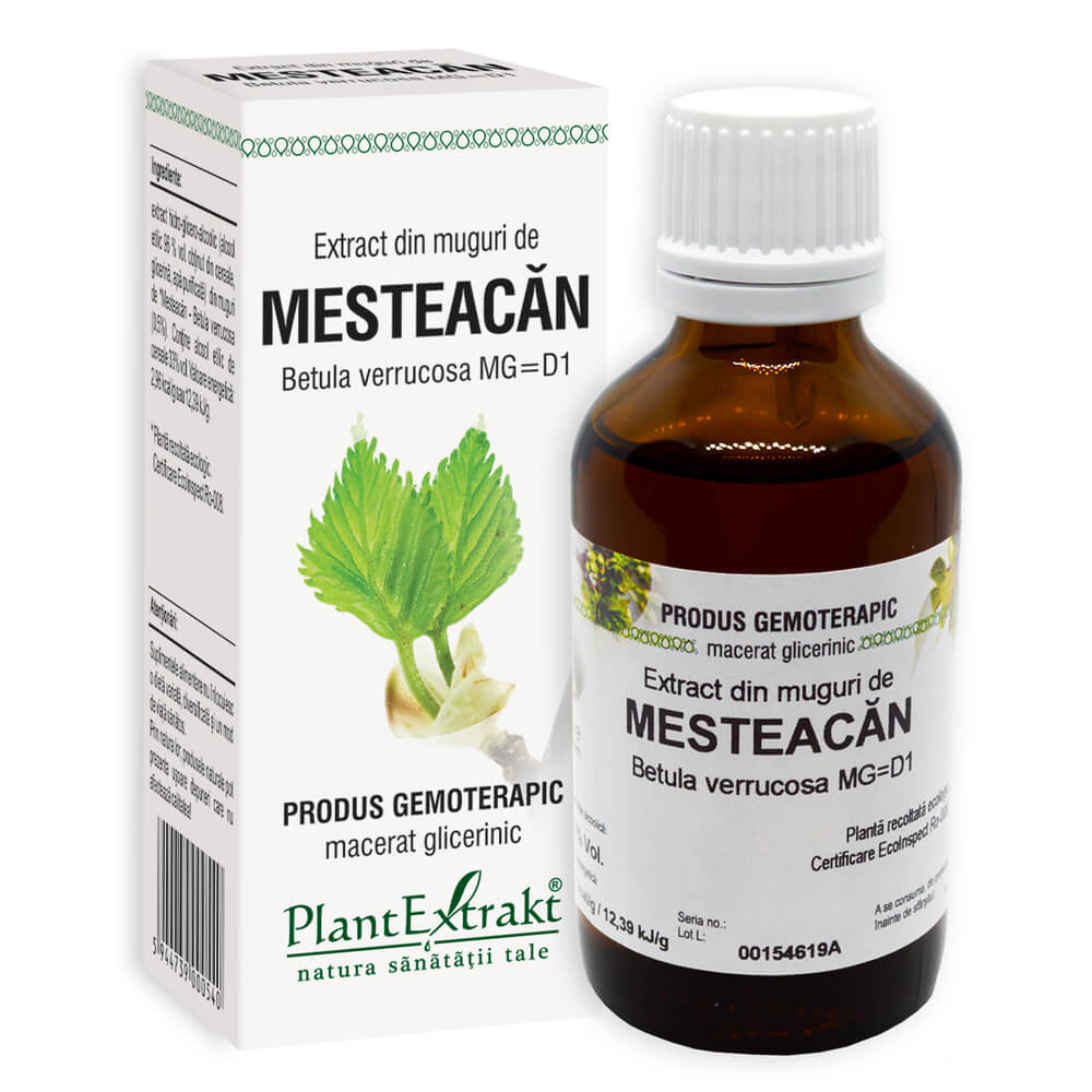 MGD1_Mesteacan_muguri