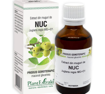 Extract din muguri de NUC, PlantExtract