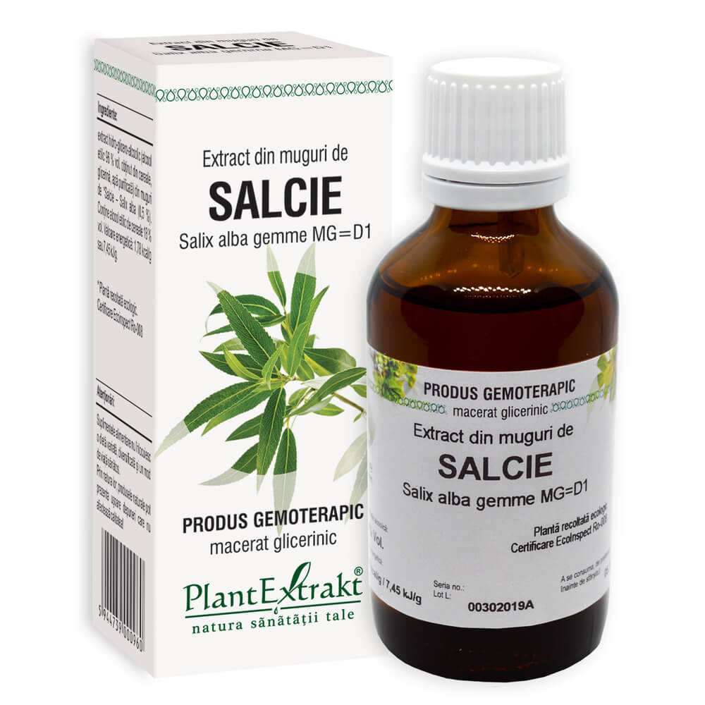 MGD1_Salcie_muguri