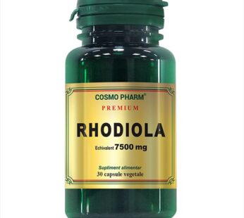 Rhodiola Extract 500mg echiv. 7500mg, 30 cps – Cosmo Pharm