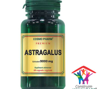 Astragalus Extract 450 Mg echiv 9000mg 60 cps – Cosmo Pharm
