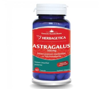Astragalus 60cps – Herbagetica