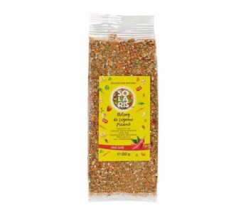 BELSUG DE LEGUME PICANT 100g SOLARIS