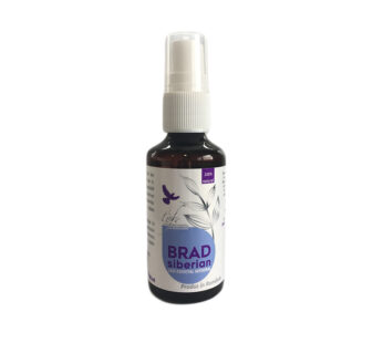 Ulei esenţial de Brad siberian, 50ml – DVR Pharm