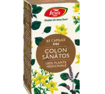 Colon sănătos, D66, 63 capsule – Fares
