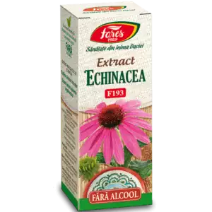 echinacea-extract