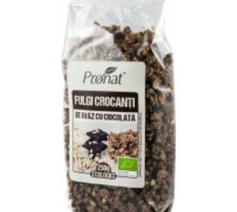 FULGI CROCANTI BIO DE OVAZ CU CIOCOLATA 250G