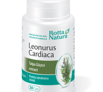Leonurus Cardiaca forte (Talpa gâștei extract), 30cps – Rotta Natura