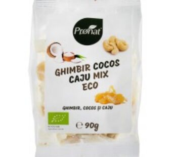 Mix bio cu ghimbir, cocos si caju 90 g