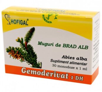 Muguri de Brad alb Gemoderivat – Hofigal