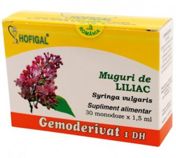 Muguri de liliac Gemoderivat – Hofigal