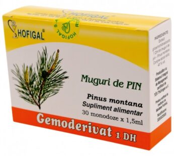 Muguri de pin Gemoderivat – Hofigal