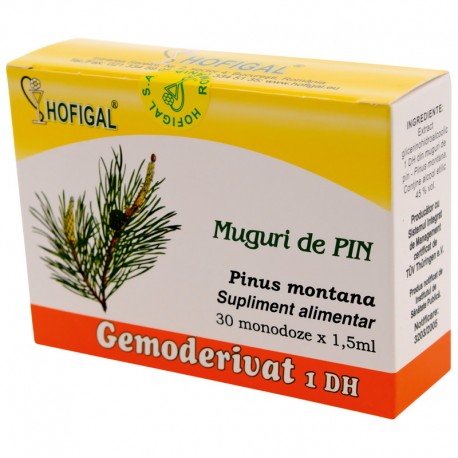 muguri-de-pin-gemoderivat