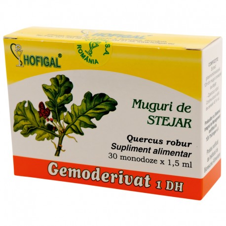 muguri-de-stejar-gemoderivat