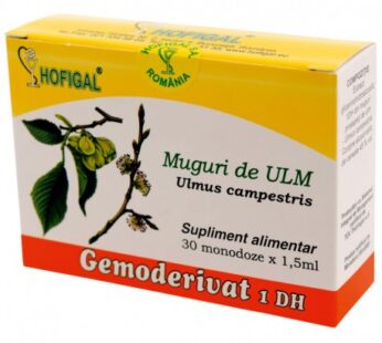 Muguri de ulm Gemoderivat – Hofigal