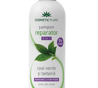 Șampon reparator 5 în 1 cu ceai verde și betaină, 400 ml – Cosmetic Plant