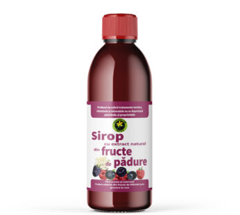 Sirop de Fructe de Padure cu zahar 500ml – Hypericum