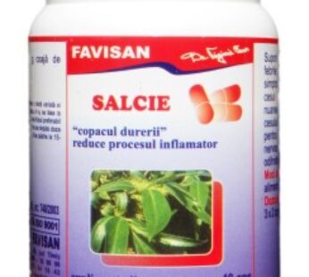 Salcie, 40cps – Favisan